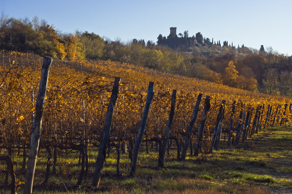 Tuscany in autumn