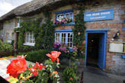 Limerick Blue Door
