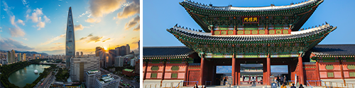 API Study Abroad in Seoul
