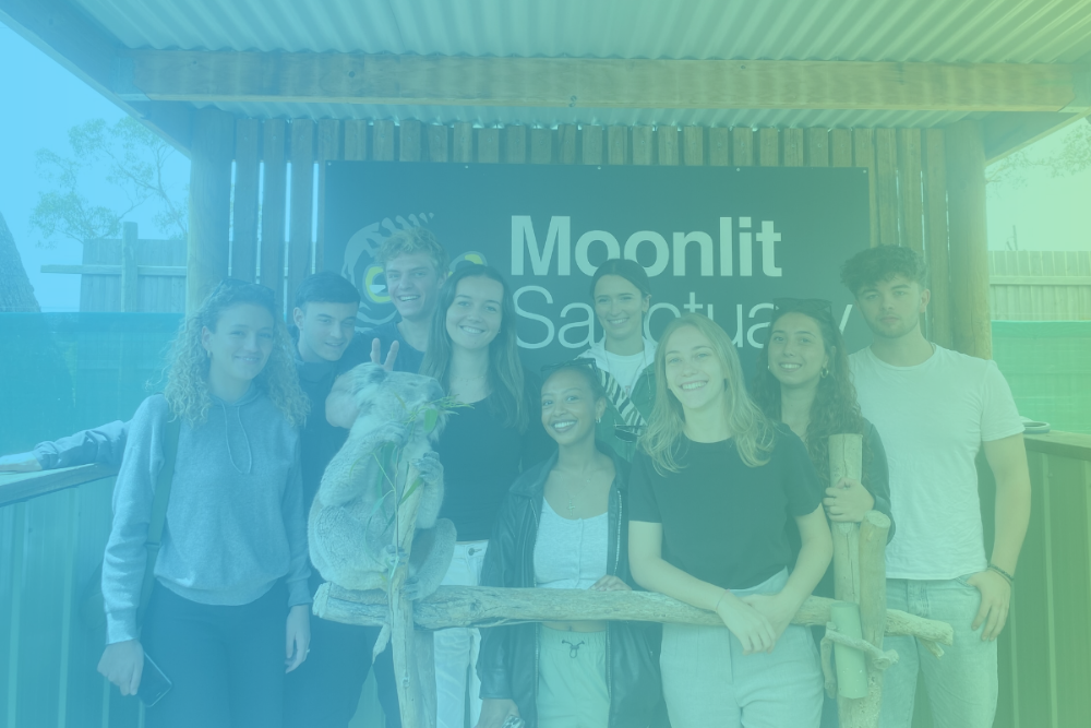 Interns in australia