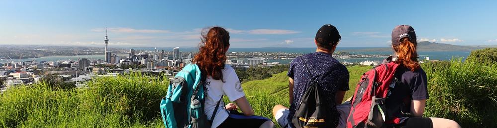 TD-UAuckland