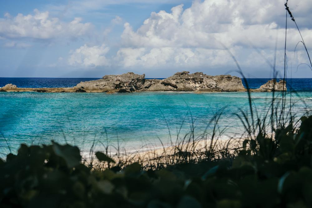 tci anna landscape tci anna landscape