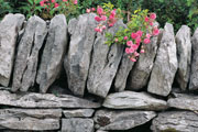 Stones