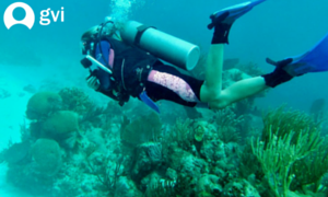mexico marine