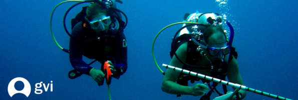 cover marine 3