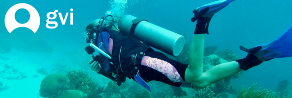 cover marine