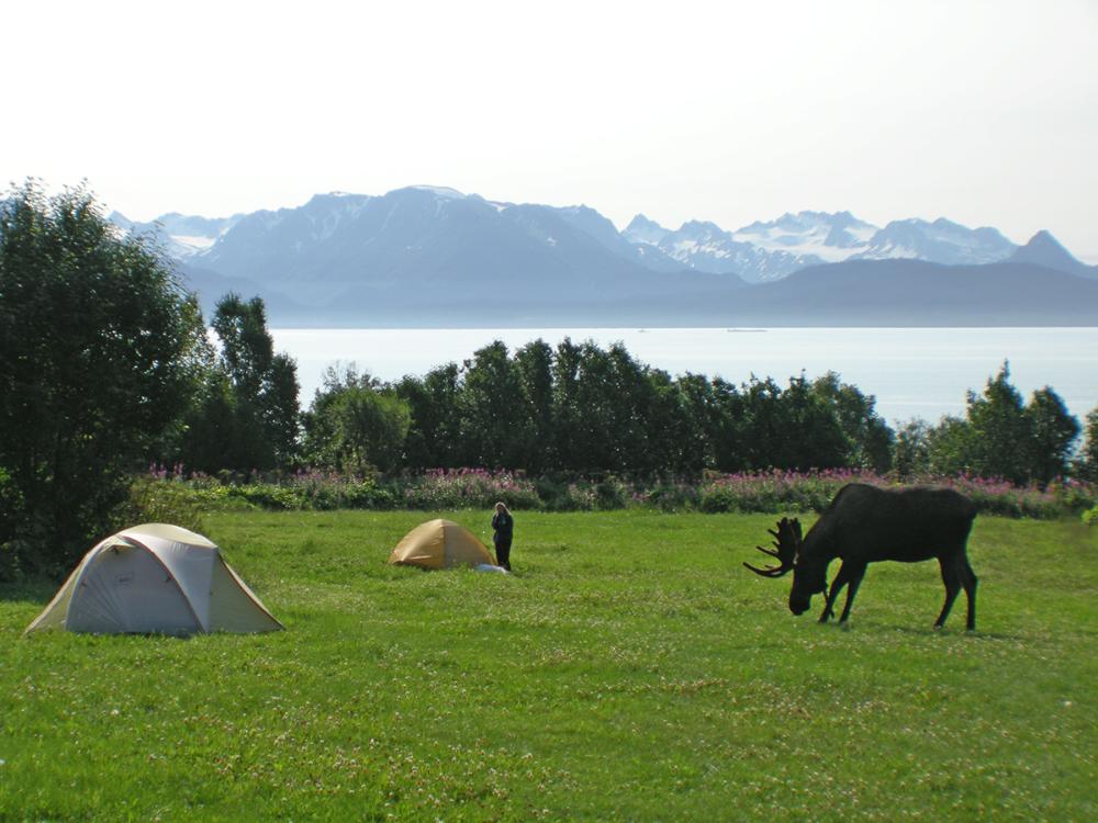 Alaska 2
