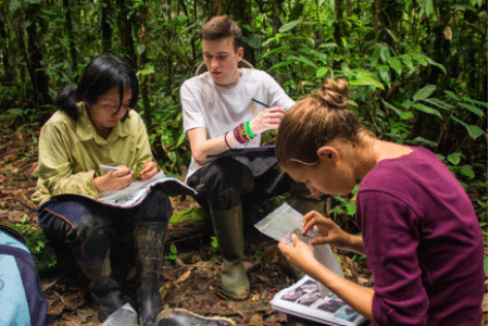 Peru - Notes Rainforest