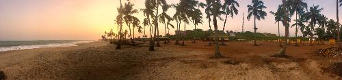 Ghana Trees