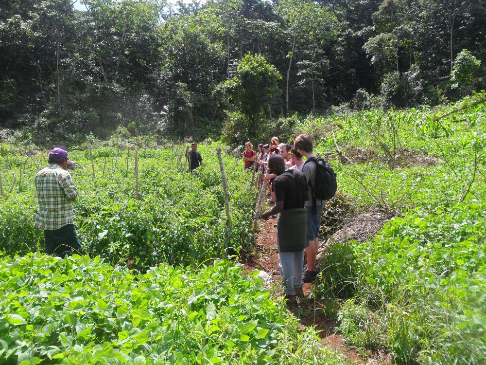 Sustainable Prog Community Setting - Toucan Education Programs