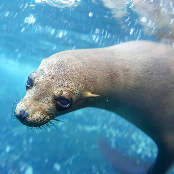 Galapagos Independent Travel