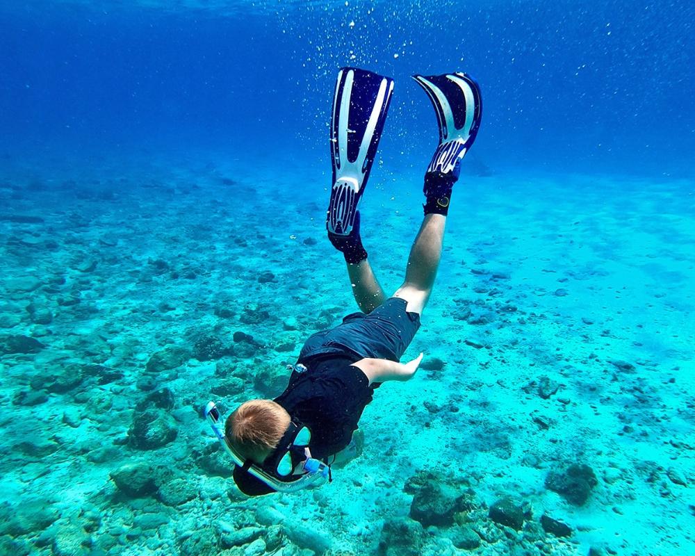 snorkel
