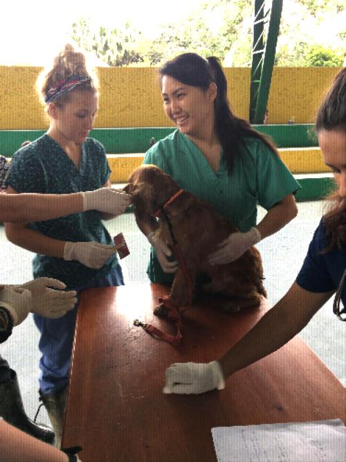 Clinic