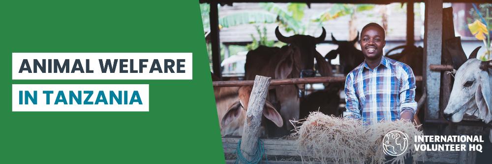 Animal Welfare
