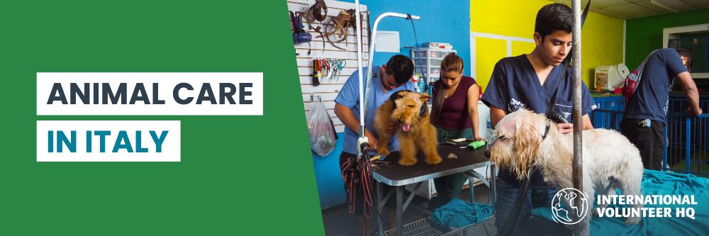 Animal Care Italy