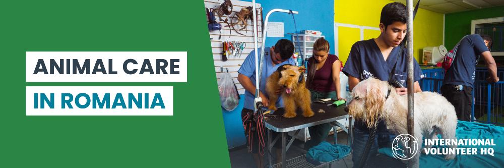 Animal Care Romania
