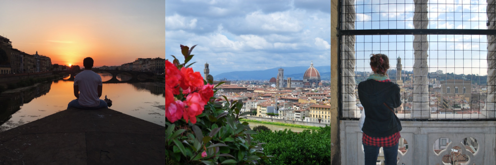 Arcadia - ISI Florence Summer