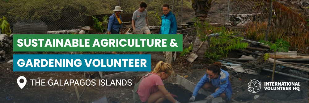 IVHQ Galapagos Sustainable Agriculture