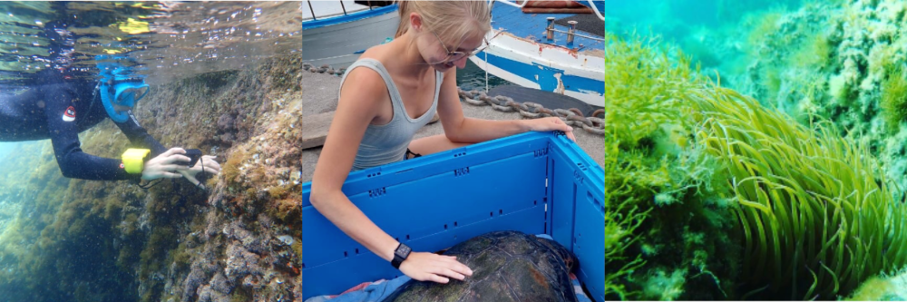STEM Summer Re -Sorrento