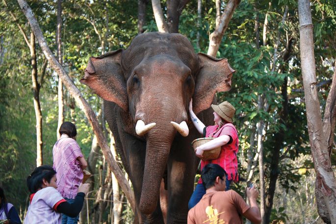 HThai