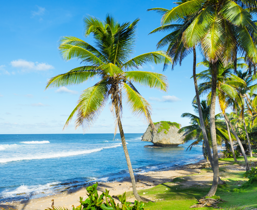 usgg.barbados