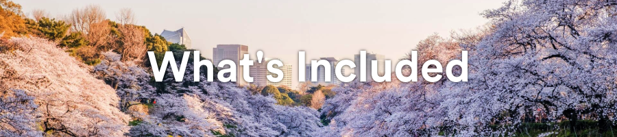 EF Tokyo Whats Included