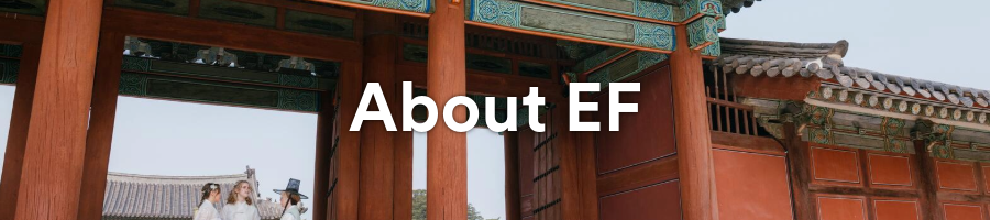 About EF Seoul