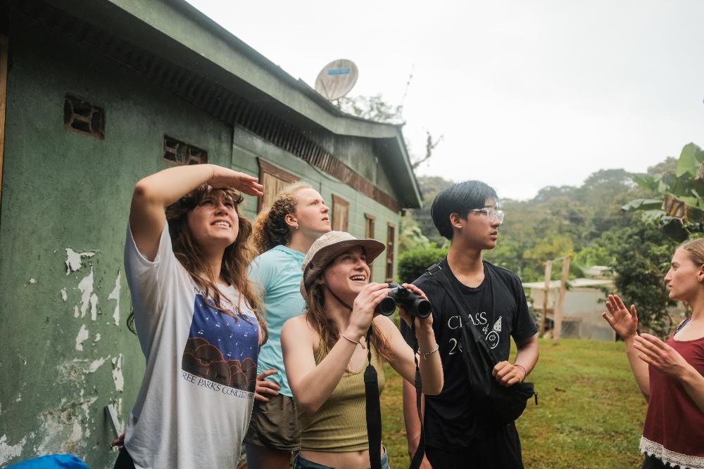 ICADS field program