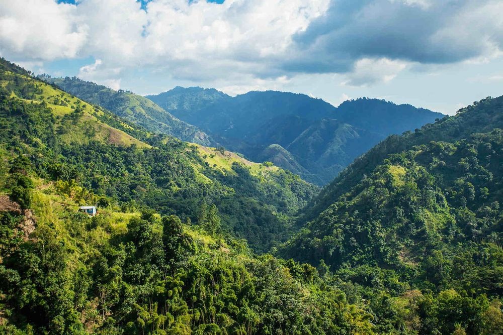 Jamaica